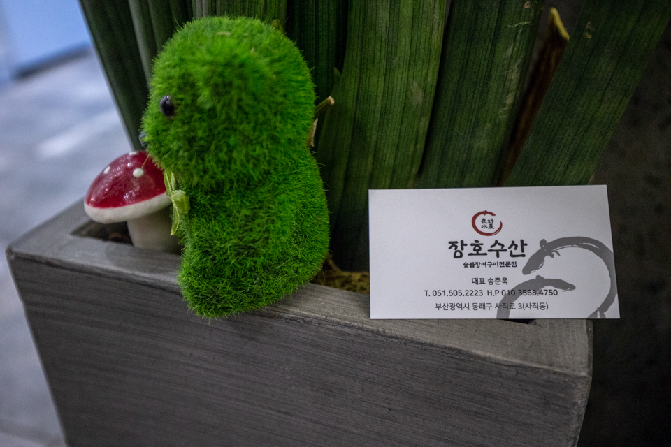 장호수산 이미지