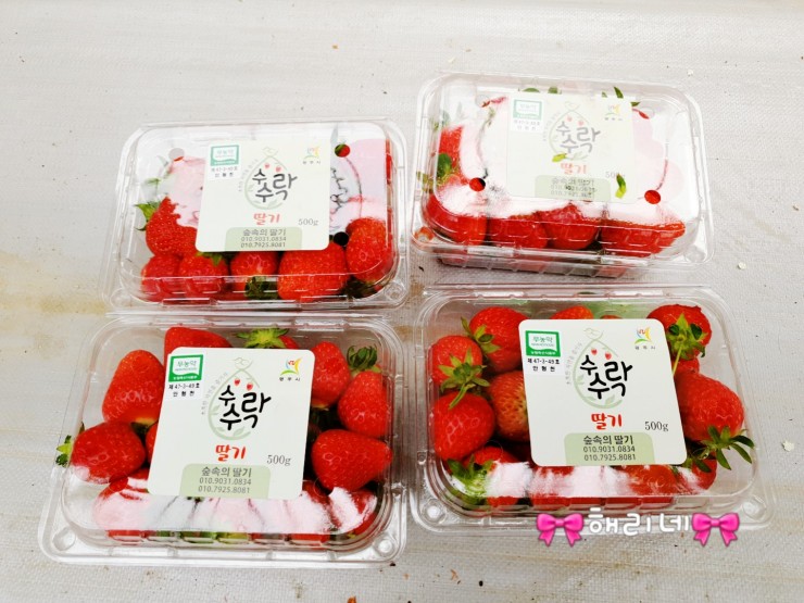 숲속에 딸기 이미지