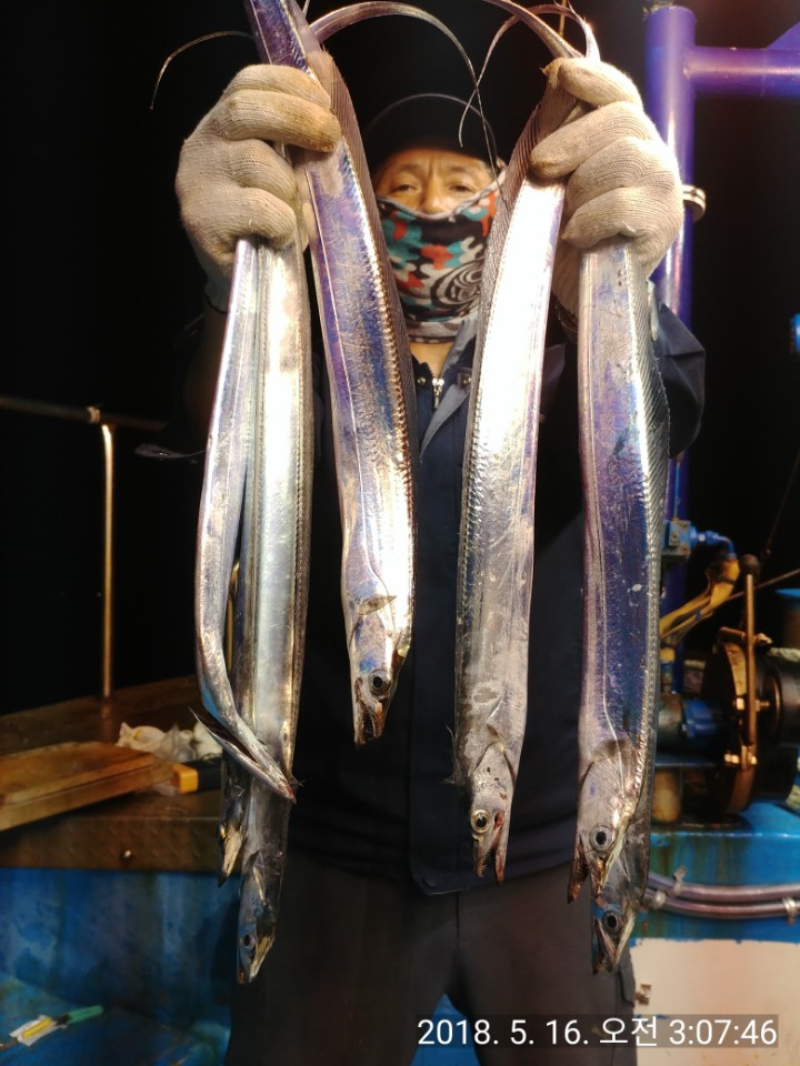 블루마린호 이미지