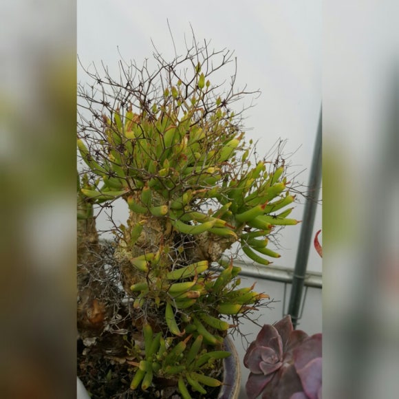 파랑새하우스 이미지