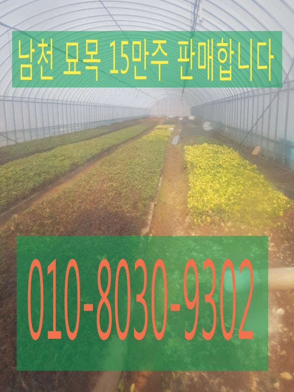 사구실농원 이미지