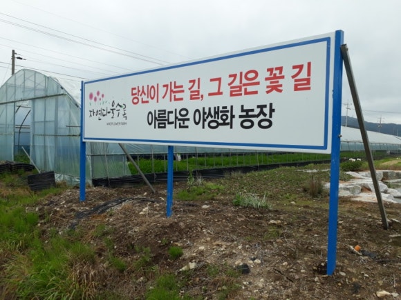 그꽃길 이미지
