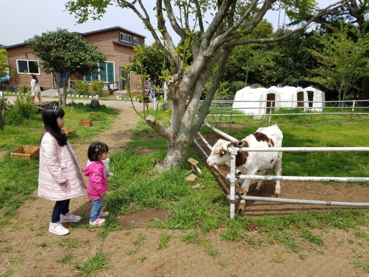 오키서키투어 이미지