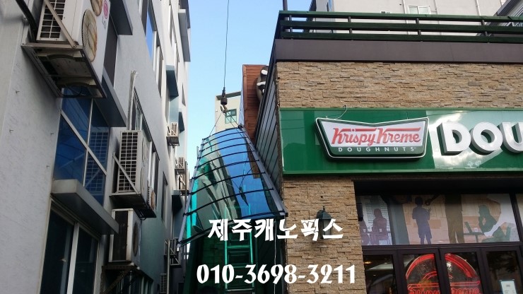 제주캐노픽스 이미지
