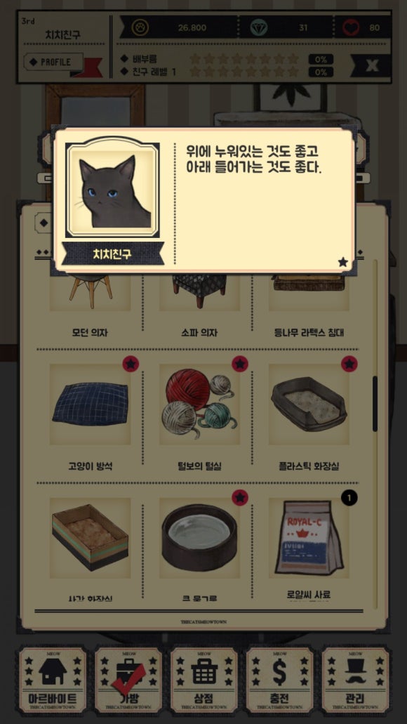 고양이자리 이미지