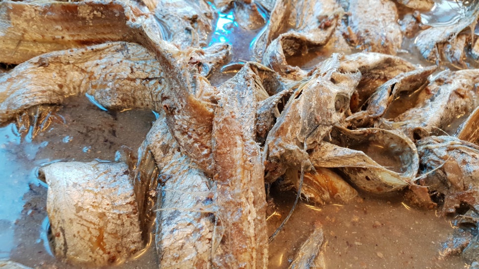청정바다젓갈 이미지