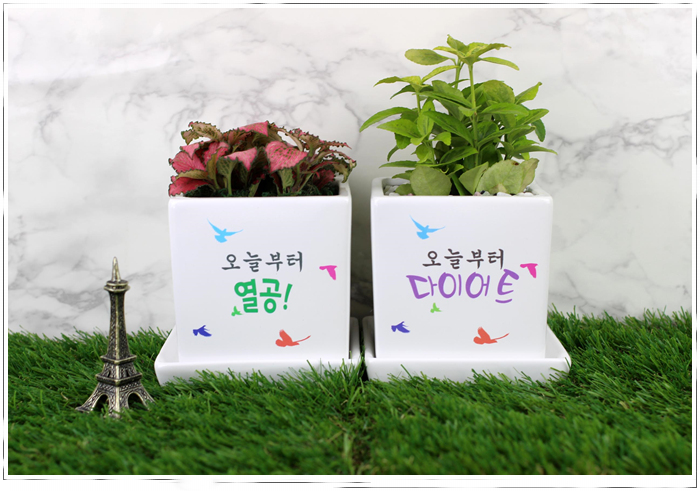 조아그린 이미지