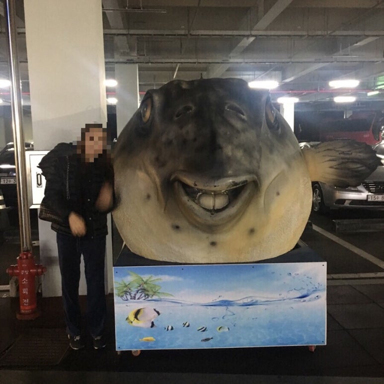 해미네집 이미지