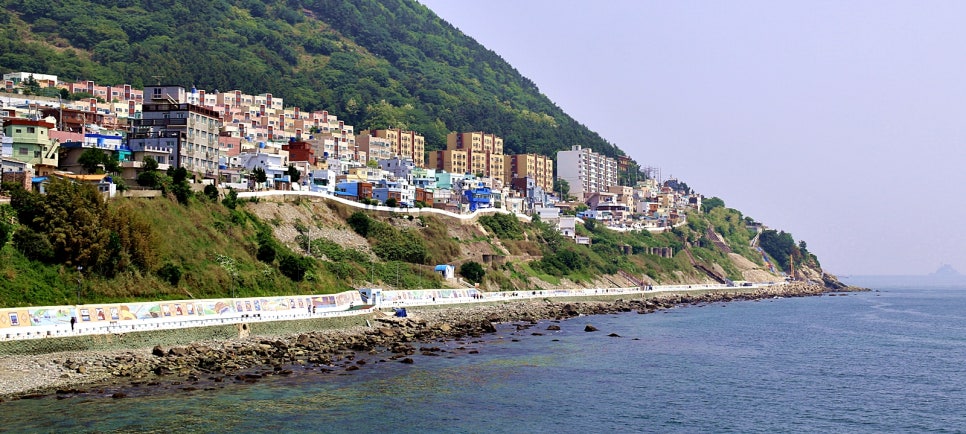 영도주단 이미지