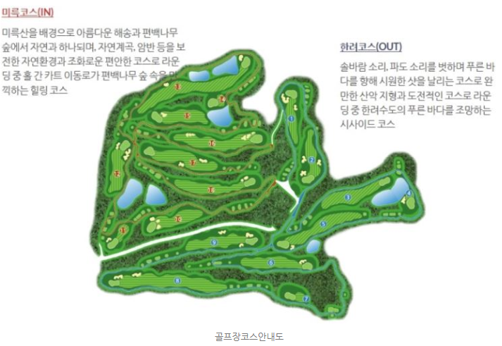 로얄룸클럽 이미지