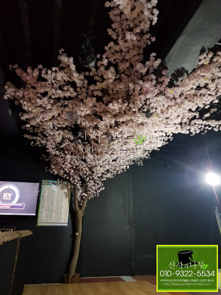 불꽃노래광장 이미지