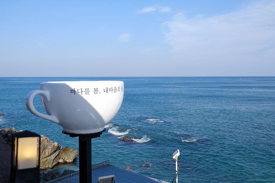 카페봄 이미지