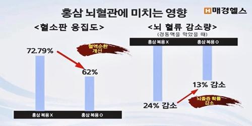 좋은 음식을 만드는 사람들 이미지