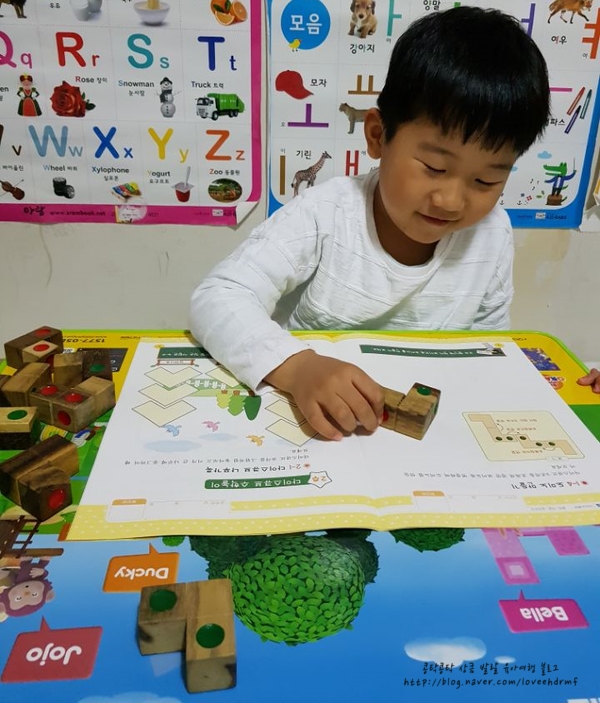 다이스큐브 이미지
