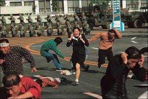 형제합판 이미지