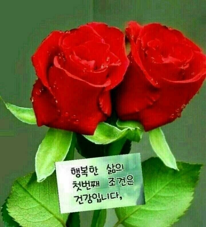 남강인력개발 이미지