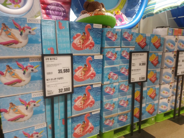 루디아스포츠 이미지