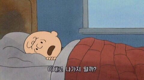 홍이통신 이미지