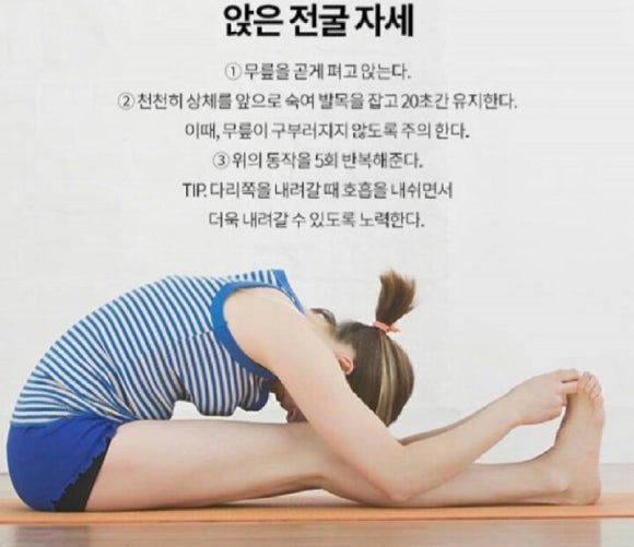 써니요가 이미지