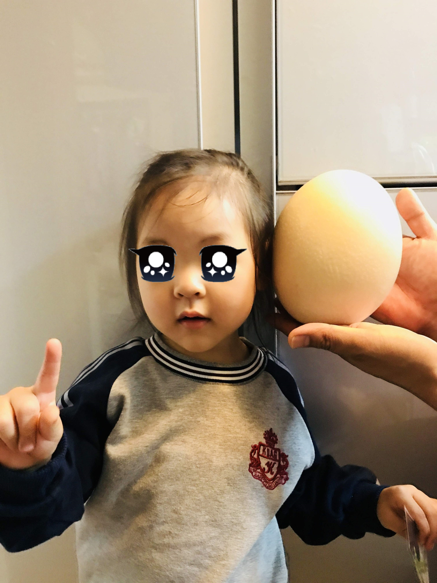 엘림타조 이미지