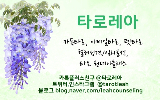 원데이홀릭 이미지