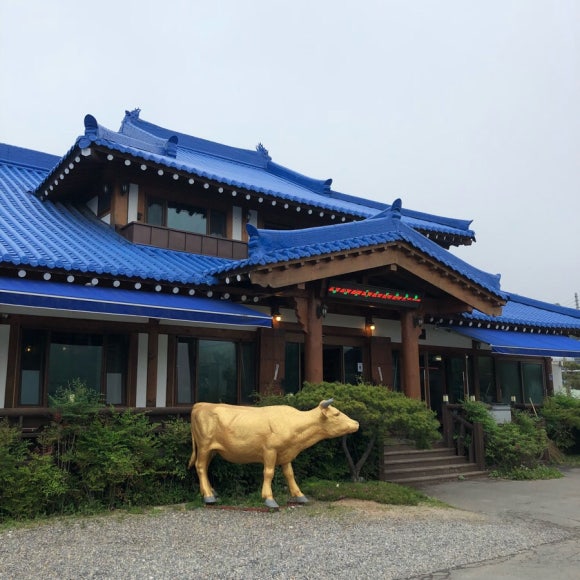 청기와식육 이미지