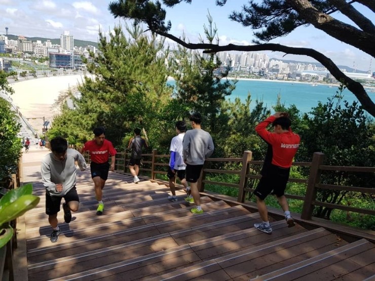 위너체대입시 이미지