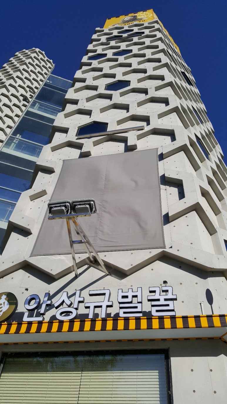 안상규벌꿀 이미지