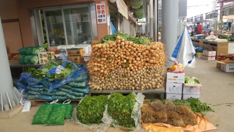 정일상회 이미지