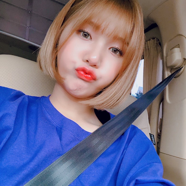 오조아 이미지