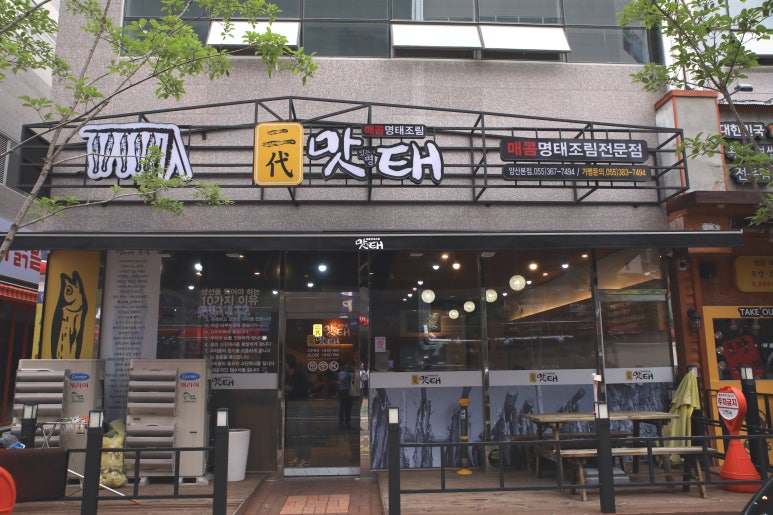 2대맛태 이미지