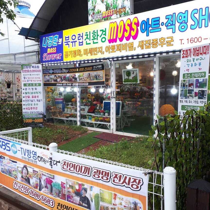 나경훈의모스플라워 이미지