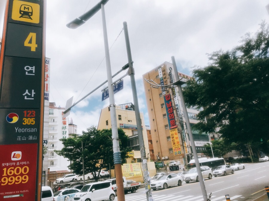 신지네일 이미지