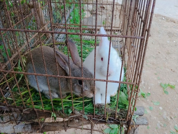 일월관광농원 캠핑장 이미지