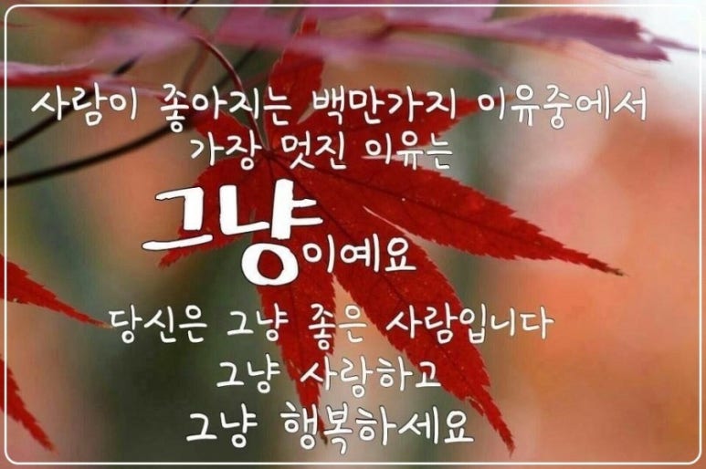 한국재능연구소 이미지