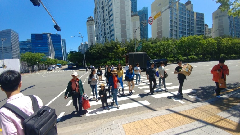인세미 이미지