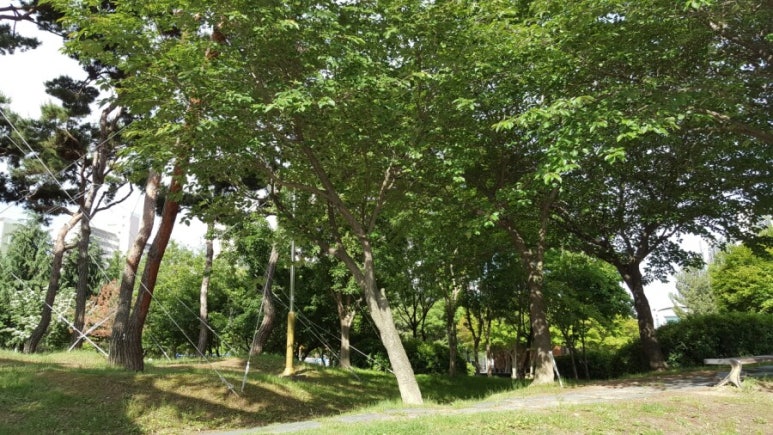 휴두피n뷰티센터 이미지