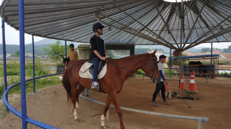 용인포니클럽 이미지