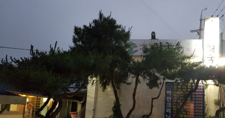 솔칼국수 이미지