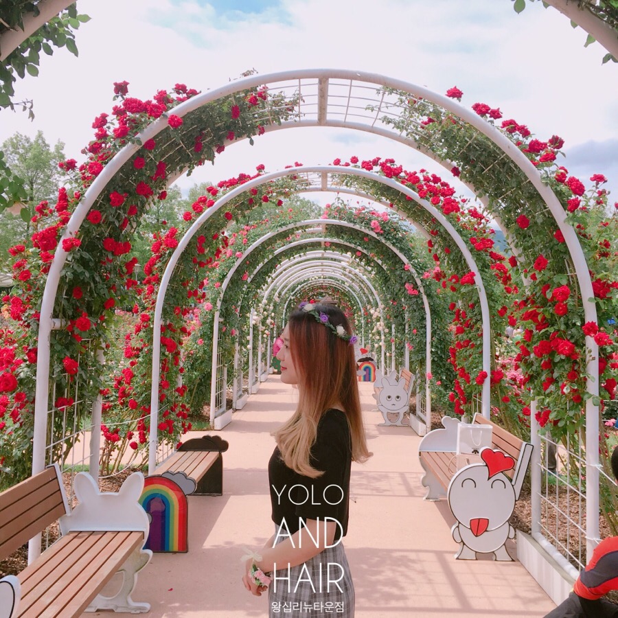채희헤어샵 이미지