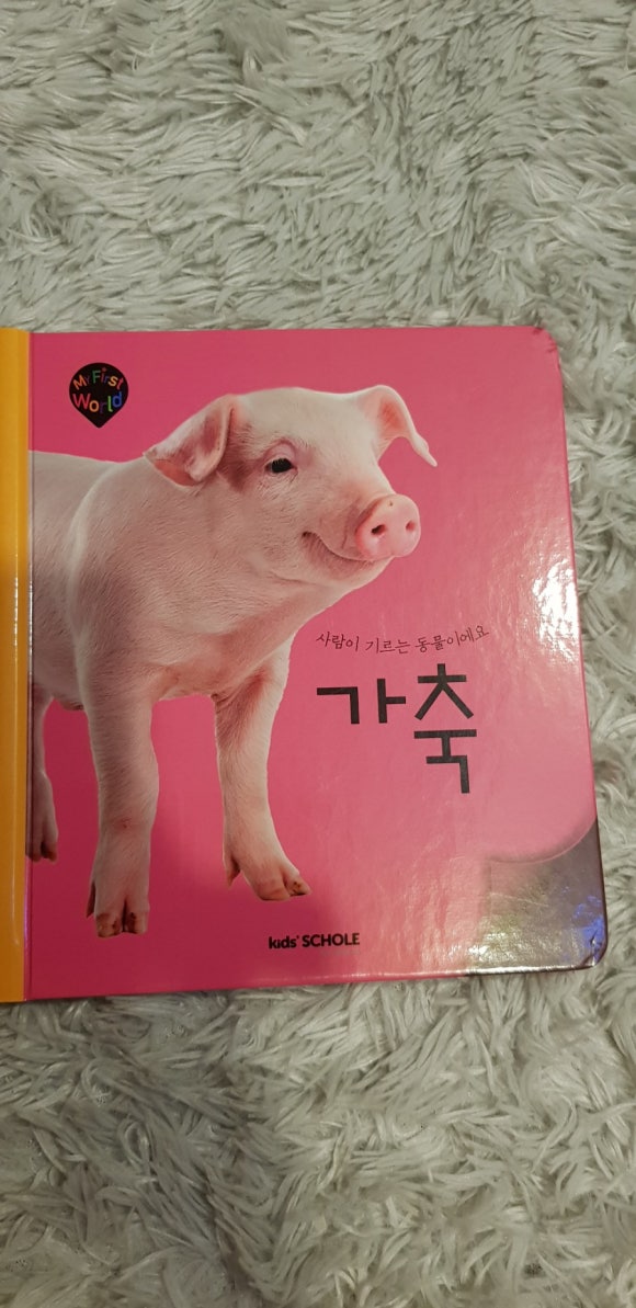 유나이모네 이미지
