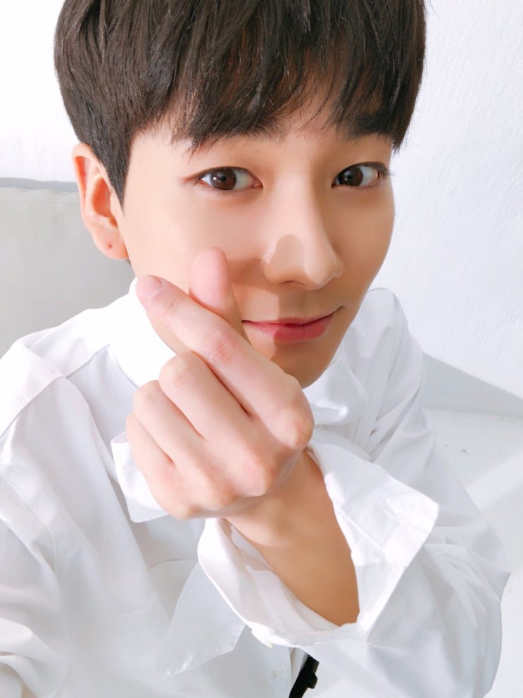 린비또 이미지