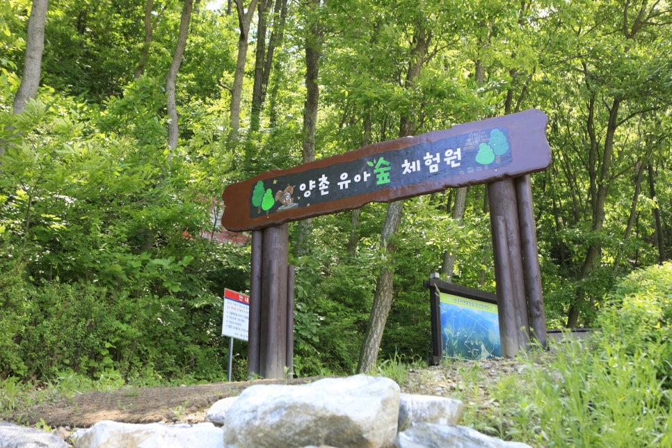 양촌 유아숲체험원 이미지