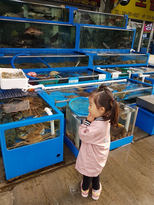 용두수산 이미지
