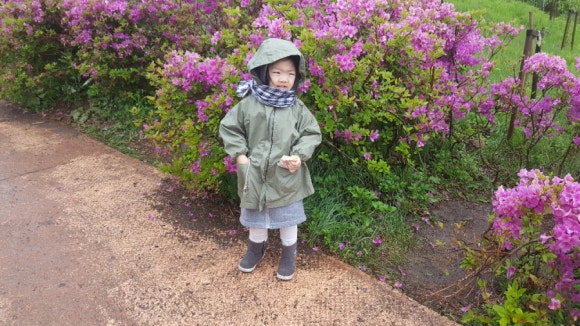 황매산가든 이미지