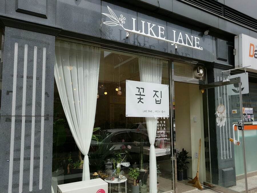 제인이좋아 이미지