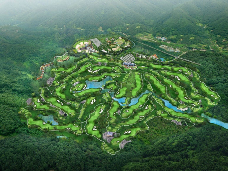 화.수.목(花.水.木 이미지