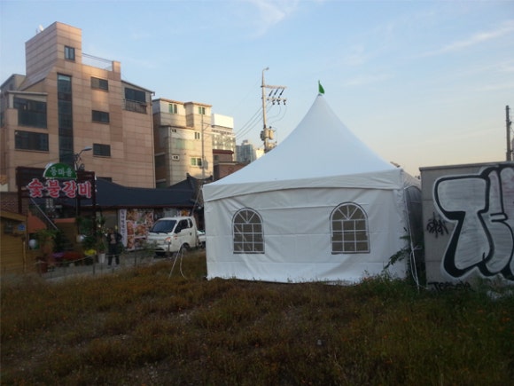 놀스타 이미지