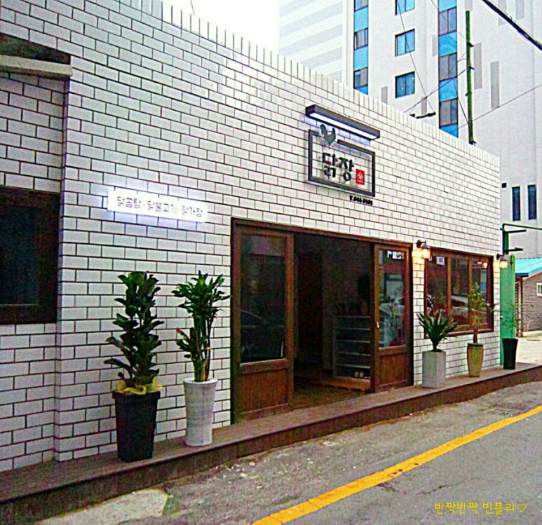 닭장금 이미지