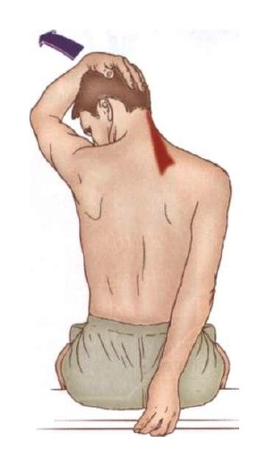 대성헬스 이미지